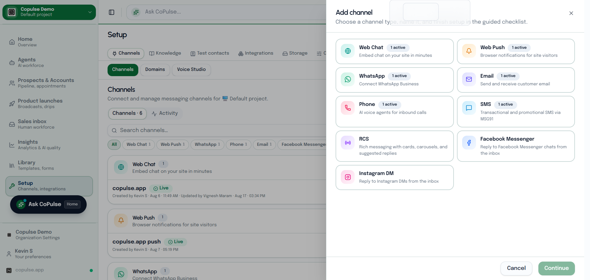 CoPulse Add channel dialog with WhatsApp, web chat, phone, email, Messenger, Instagram, RCS, SMS, and Web Push.