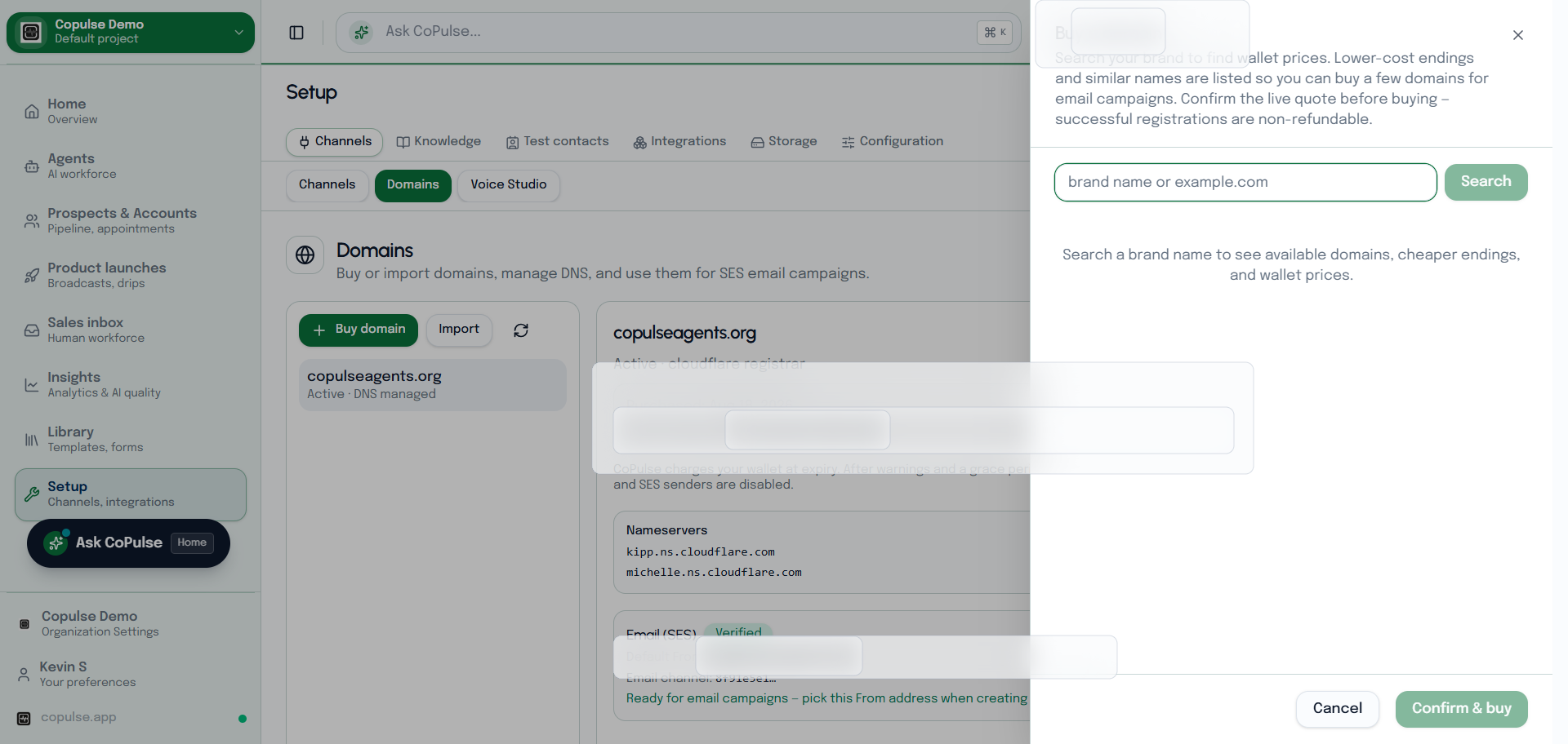 CoPulse Setup Domains overlay for buying a sending domain for Amazon SES email.