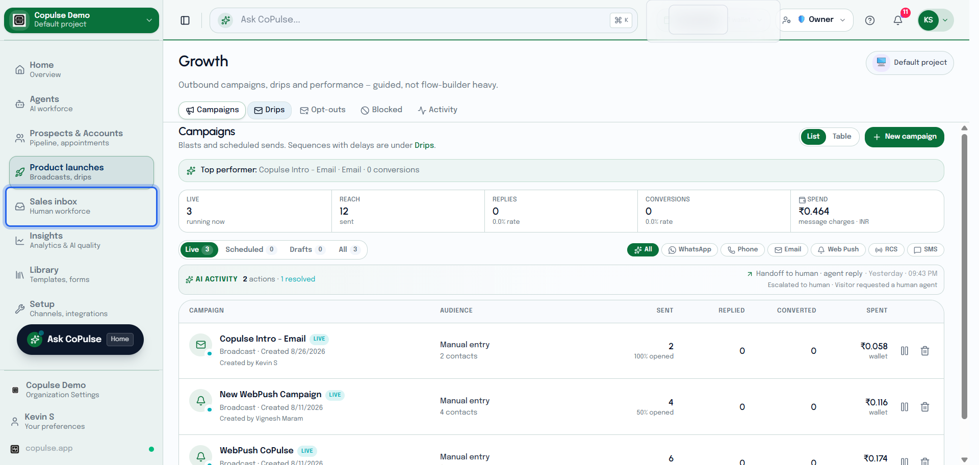 CoPulse Growth campaigns list with channel, audience, status, and send progress.