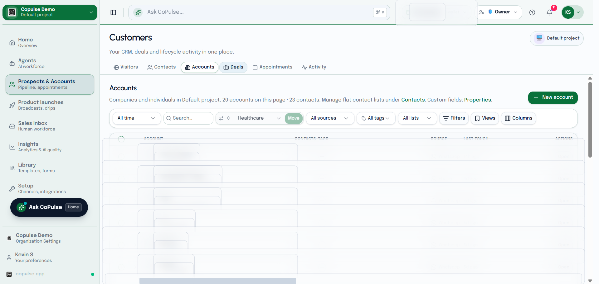 CoPulse Customers accounts table with company names, tags, and properties.
