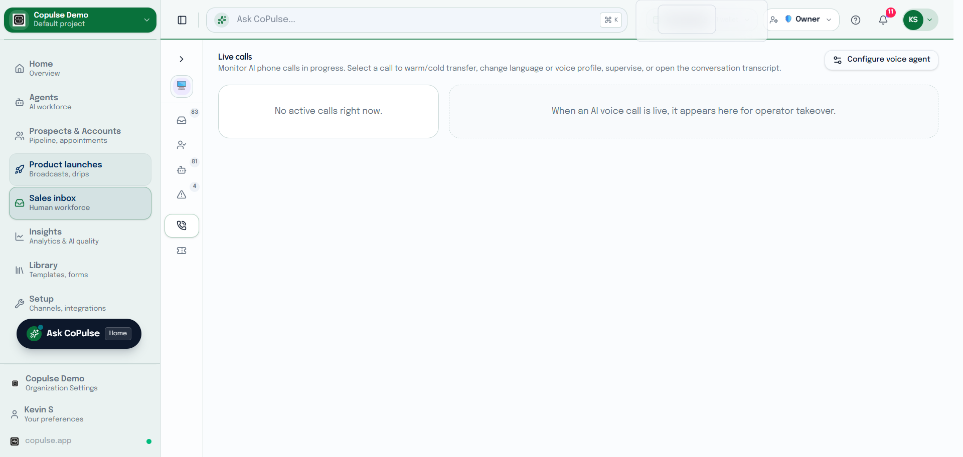 CoPulse inbox live calls view for in-progress phone sessions.