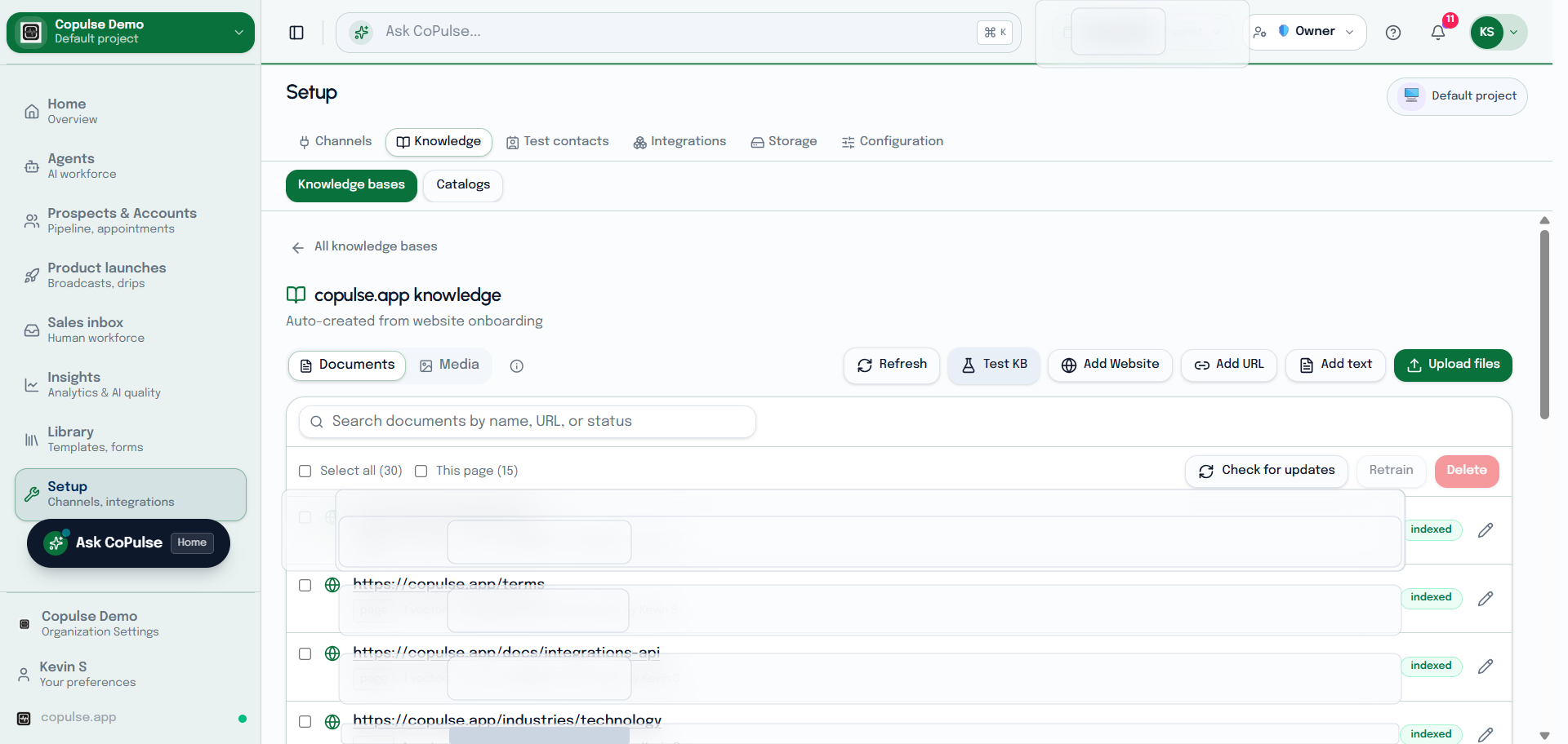 CoPulse knowledge base with trained documents, URLs, and source status.