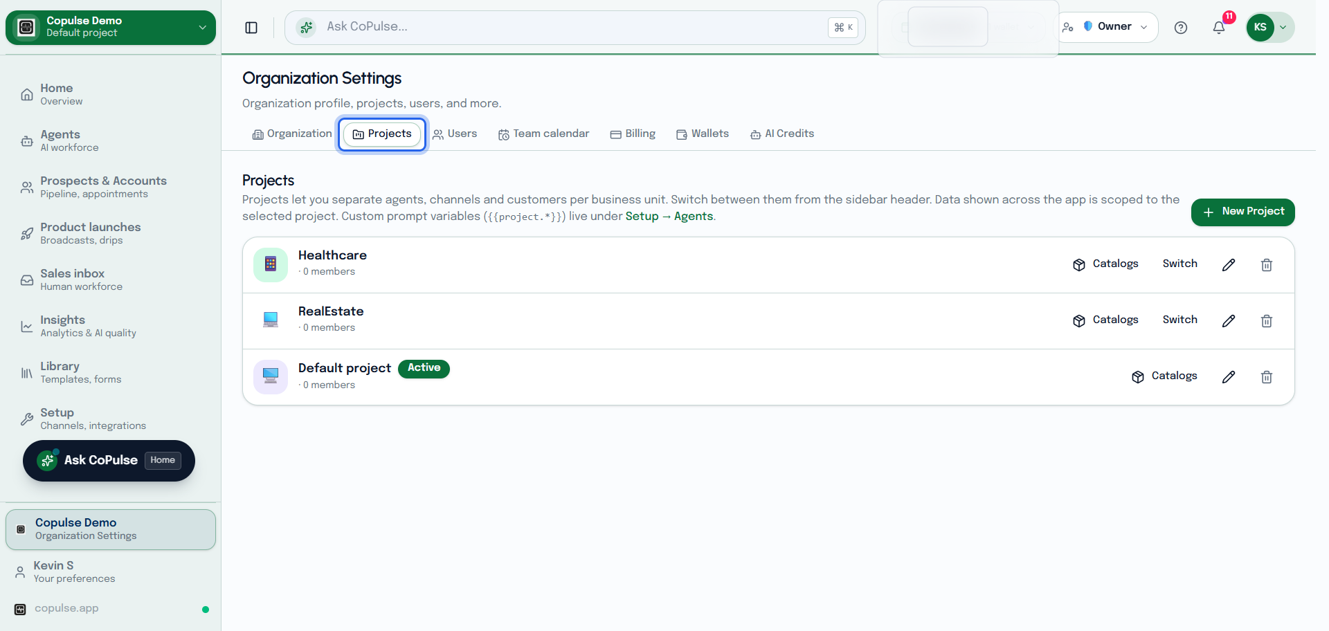 CoPulse Settings Projects list for creating and switching projects in an organization.
