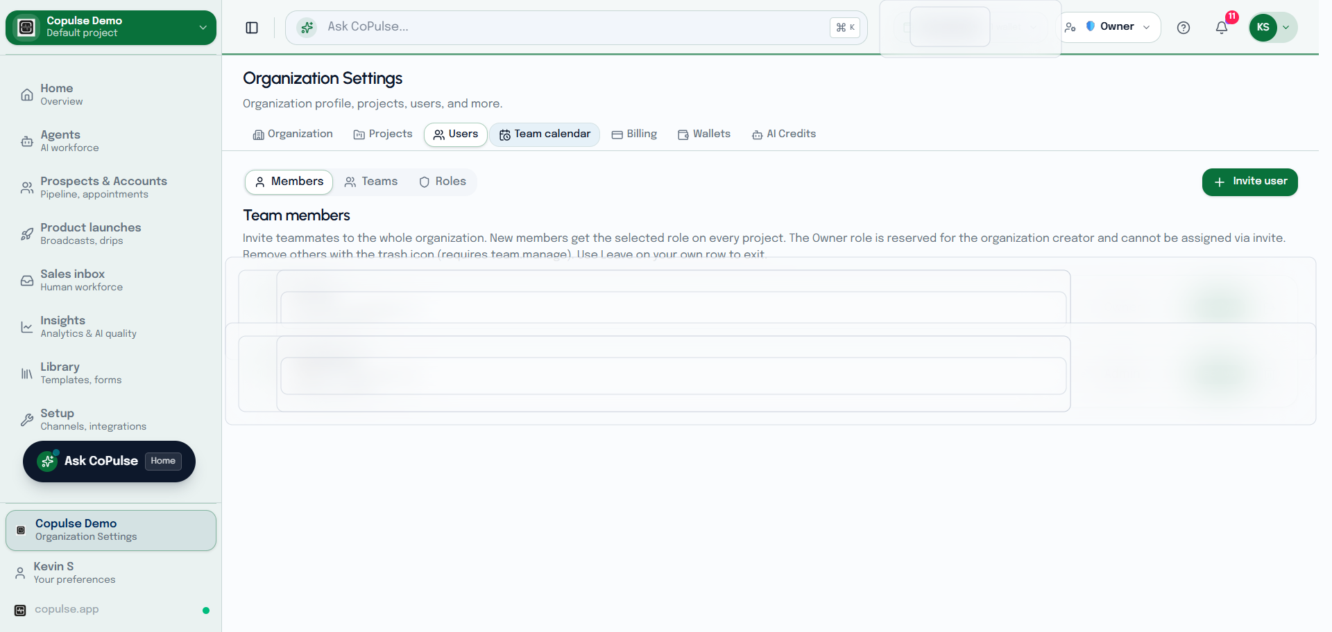 CoPulse Settings Users members list for inviting and removing organization members.