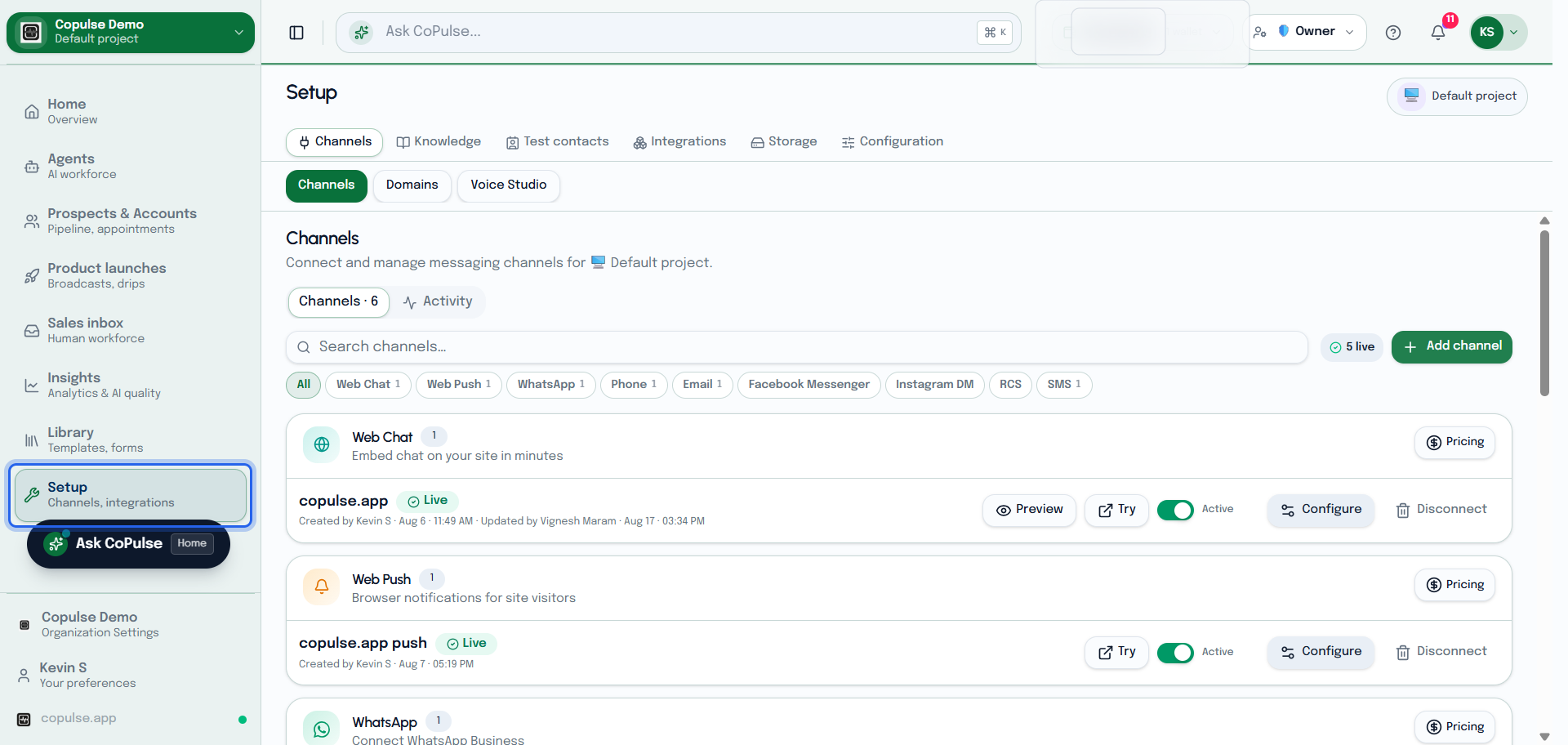 CoPulse Setup Channels page listing WhatsApp, web chat, phone, email, and other channel instances.