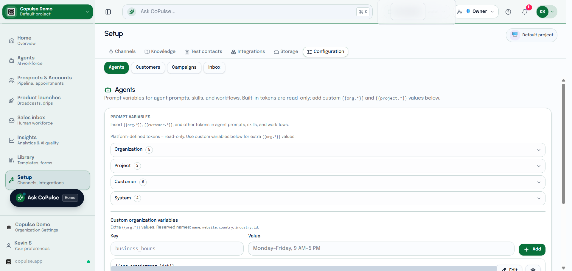 CoPulse Setup Integrations configuration tab for connector credentials and project API keys.