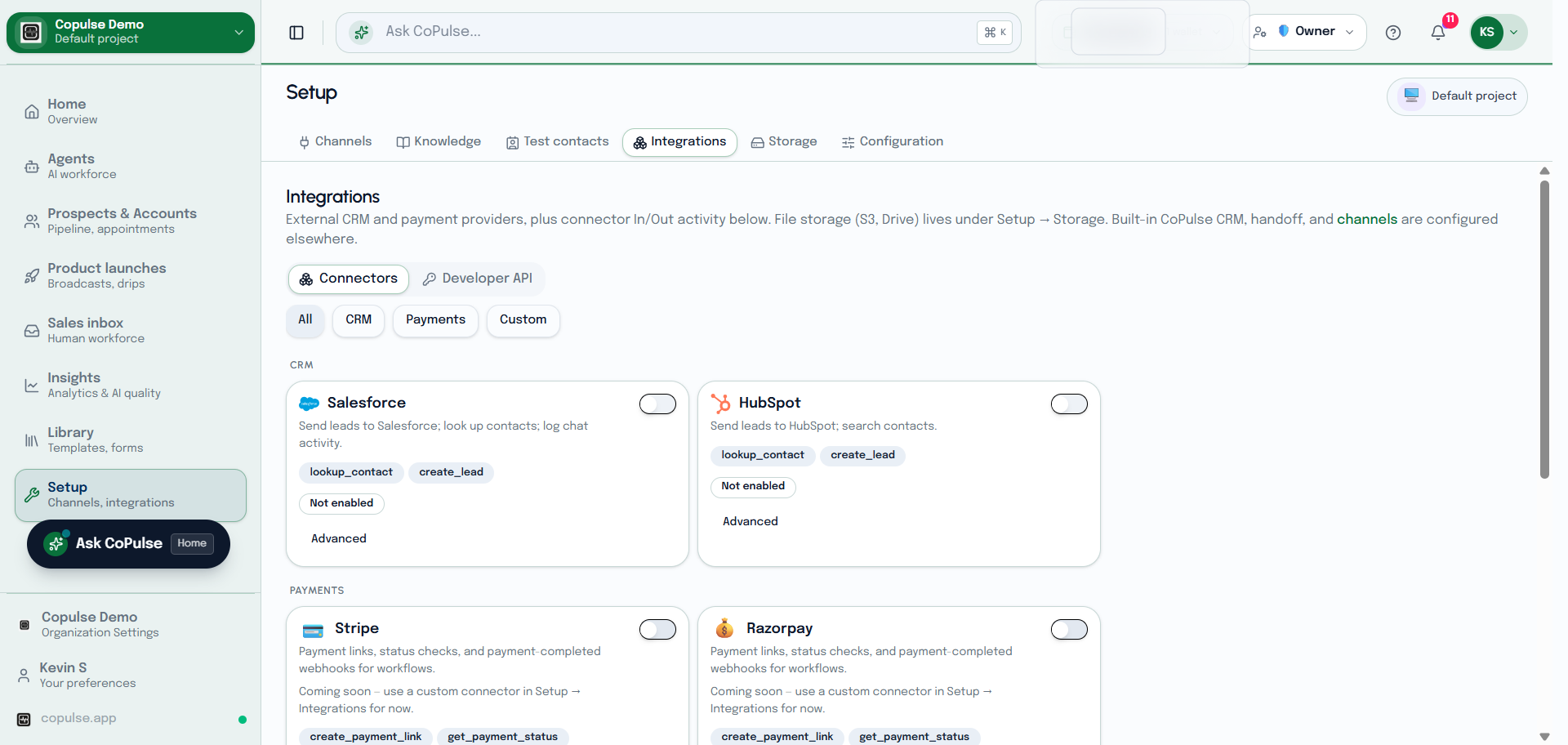 CoPulse Setup Integrations page listing OAuth connectors and Developer API.